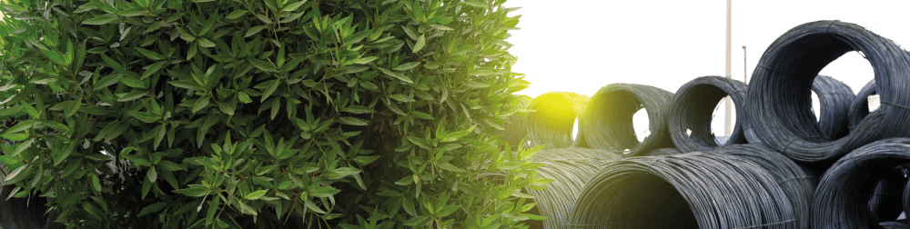 Sustainability Performance Highlight